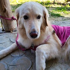 19位のイメージ