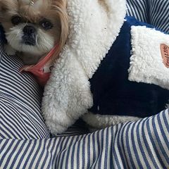 30位のイメージ