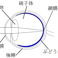 22位のイメージ
