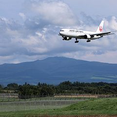 12位のイメージ