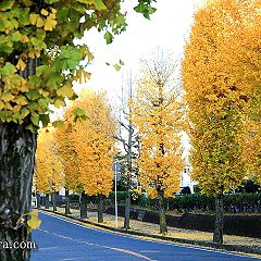 36位のイメージ