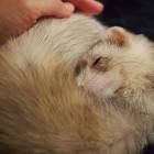 31位のイメージ