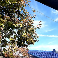 49位のイメージ