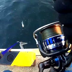 49位のイメージ