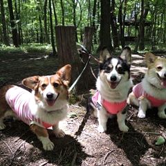 11位のイメージ