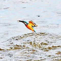 427位のイメージ