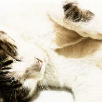 84位のイメージ