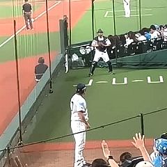 1953位のイメージ