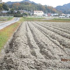 13位のイメージ