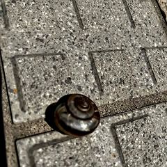 63位のイメージ