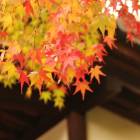 30位のイメージ