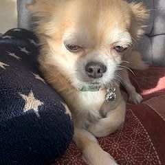 138位のイメージ