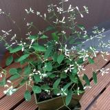 55位のイメージ