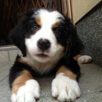 1268位のイメージ