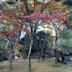 57位のイメージ