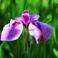 1668位のイメージ