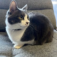 72位のイメージ