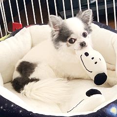 1537位のイメージ