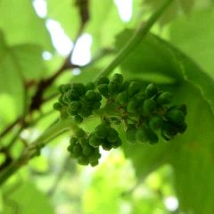 47位のイメージ