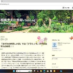 86位のイメージ