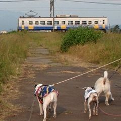 3051位のイメージ