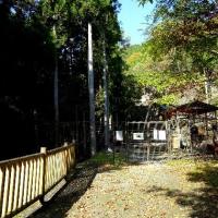 55位のイメージ