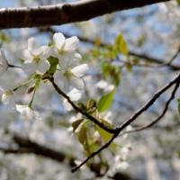 162位のイメージ