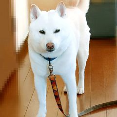 16位のイメージ