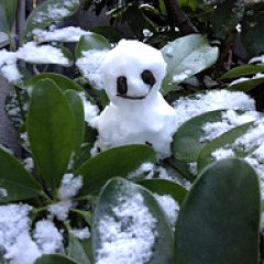 29位のイメージ