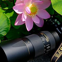 17位のイメージ