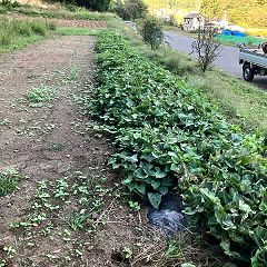 107位のイメージ