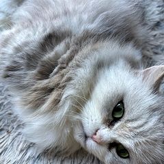 13位のイメージ