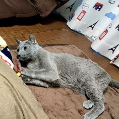 10位のイメージ