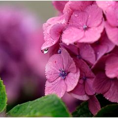 1766位のイメージ