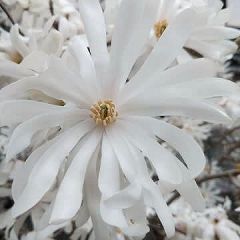 164位のイメージ