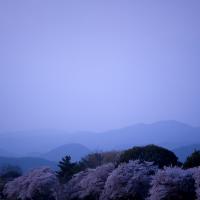 52位のイメージ