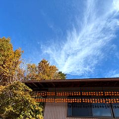 16位のイメージ