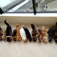 26位のイメージ