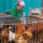 59位のイメージ