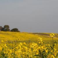 12位のイメージ