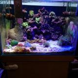 74位のイメージ