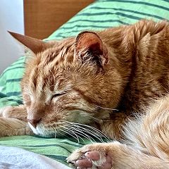 135位のイメージ