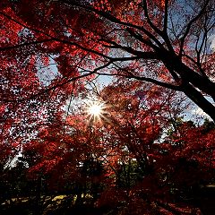 98位のイメージ