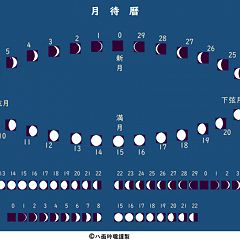 2213位のイメージ