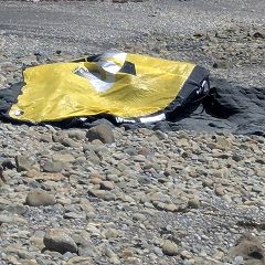 98位のイメージ