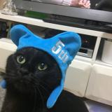 81位のイメージ