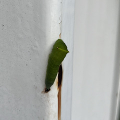 32位のイメージ