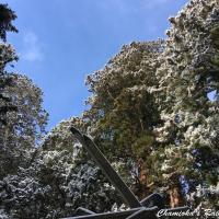 20位のイメージ