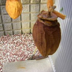 26位のイメージ