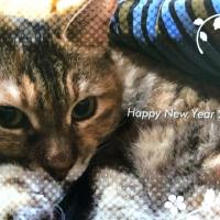 132位のイメージ